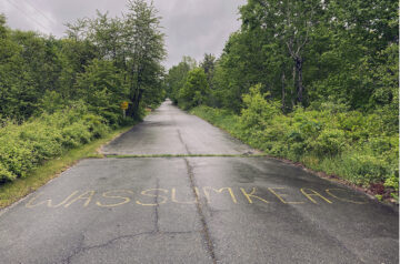 Sears Island, the road by James McCarthy