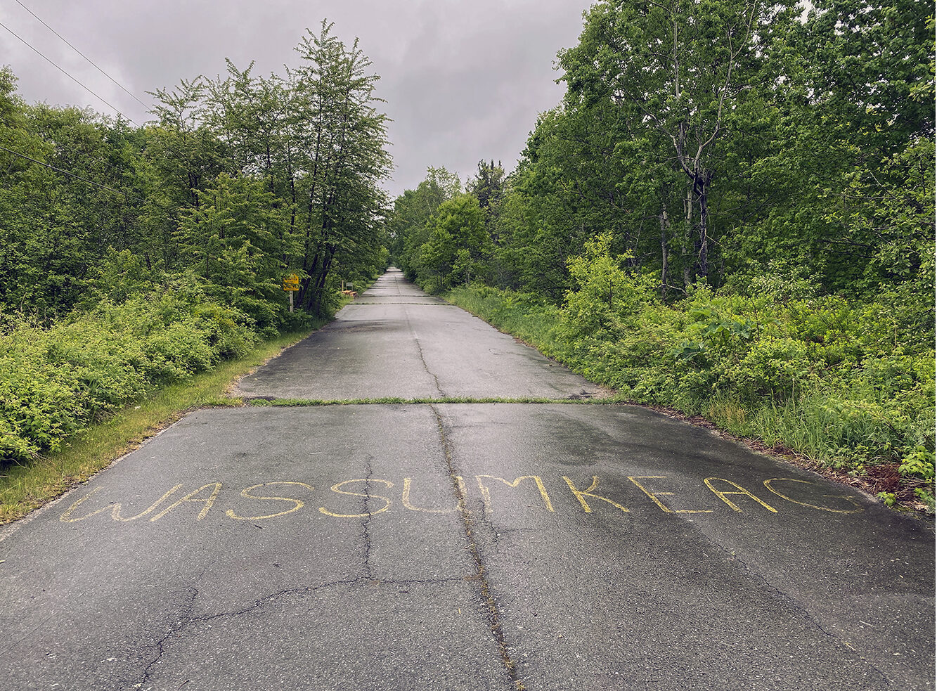 Sears Island, the road by James McCarthy