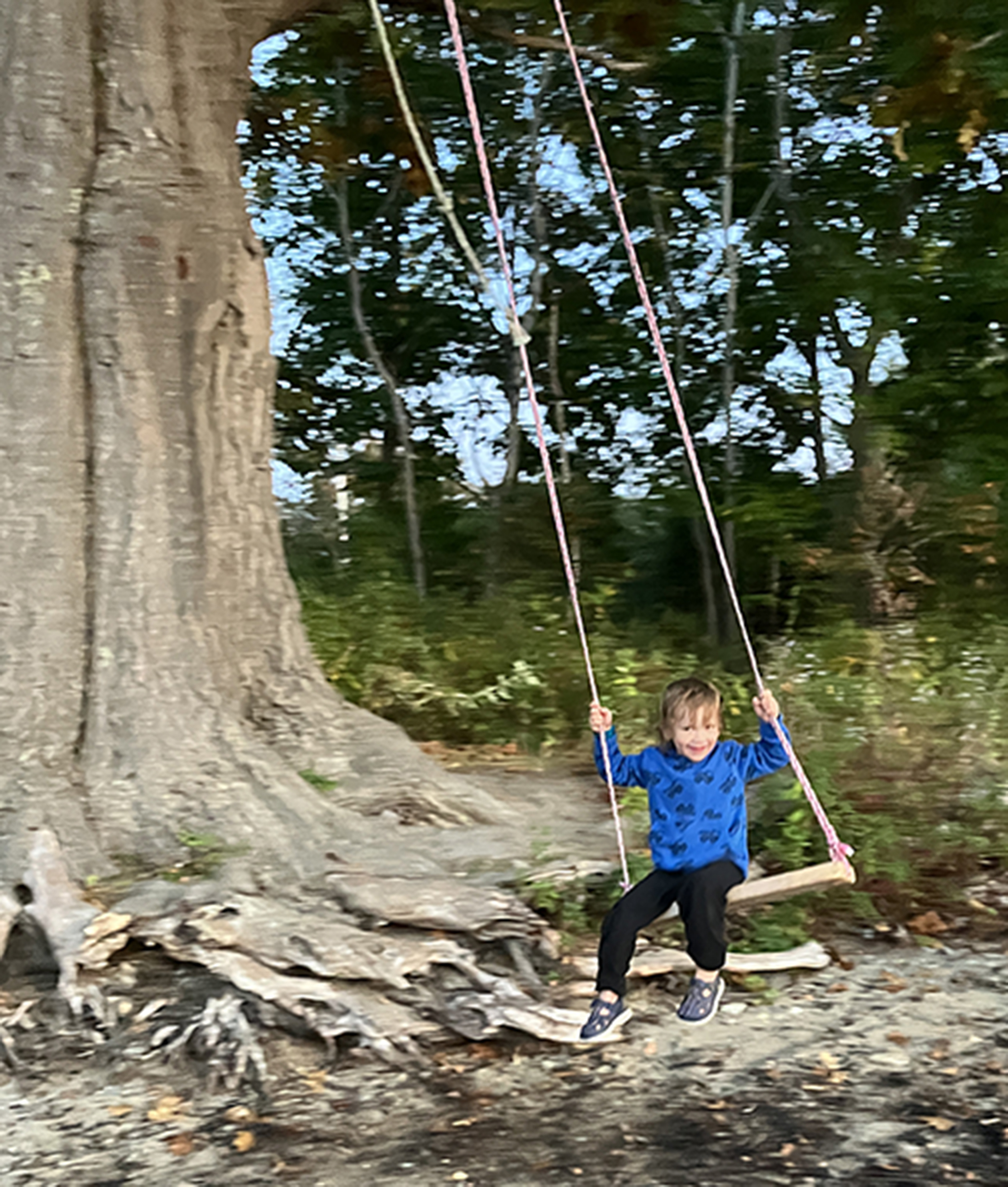 Zeke takes a ride on the swing his father made.